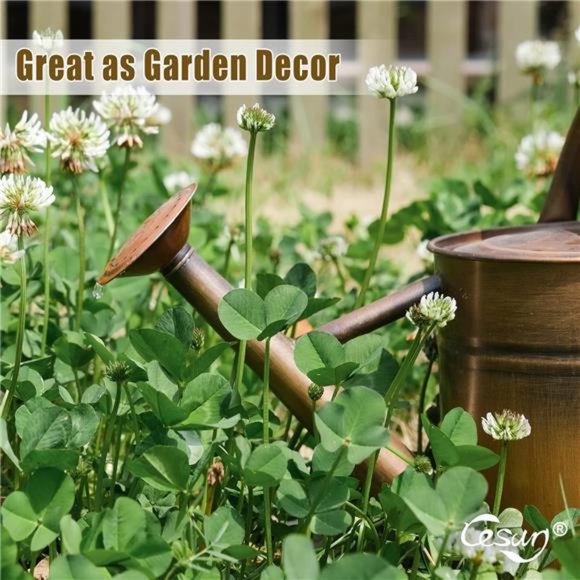 1 Gallon Watering Can - Copper Finish. Galvanized Steel Pot w Removable Spout - Picture 5 of 7